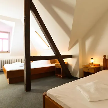 Parkhotel Forsthaus 4* Tharandt