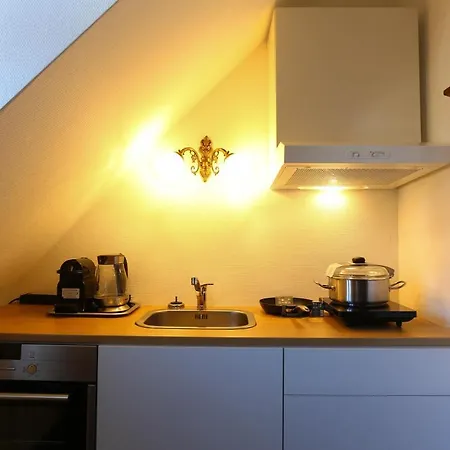 Parkhotel Forsthaus מלון Tharandt