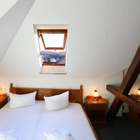 Parkhotel Forsthaus